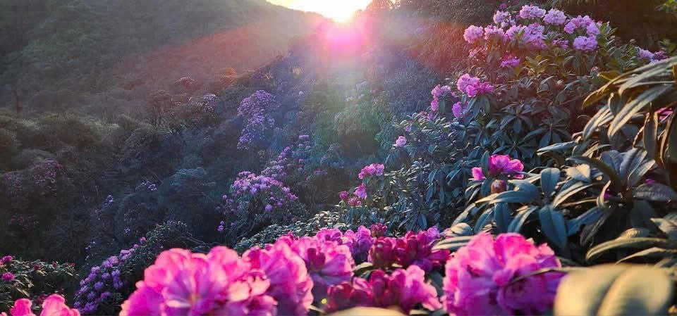 Bí quyết luyện tập của nhà vô địch “Bước chân trên mây” mùa I