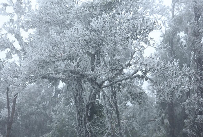 Băng đóng trắng từ nhà lên núi vùng cao phía Bắc