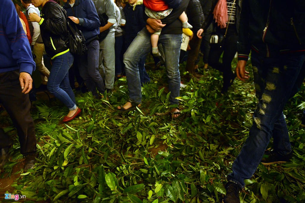 Cây nát, đường đầy rác sau Giao thừa