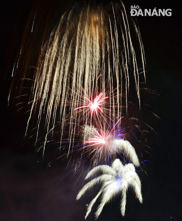 Đầu năm, tình yêu ngập tràn phố phường Hà Nội, TP HCM