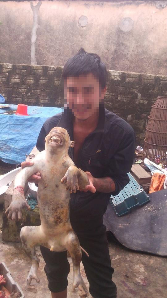 Kinh hoàng chùm ảnh giết khỉ dã man của “đồ tể” trẻ