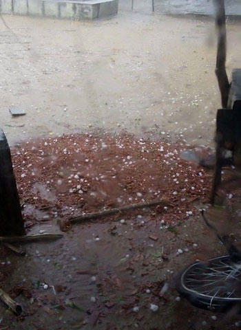 Mưa đục thủng mái tôn nhà dân, hạt như ngón chân phá cây quả