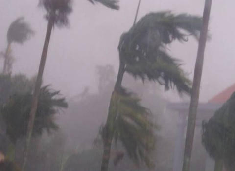 Mưa đục thủng mái tôn nhà dân, hạt như ngón chân phá cây quả