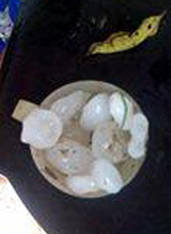 Mưa đục thủng mái tôn nhà dân, hạt như ngón chân phá cây quả