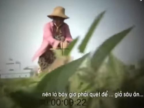 Đình chỉ công việc tác giả phóng sự “Cây chổi quét rau”