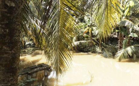 Chấn động Trà Vinh: Con trai giết mẹ giấu xác dưới mương nước