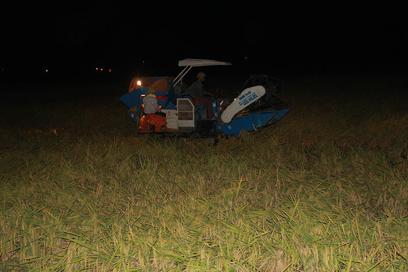 Quảng Ninh, Hải Phòng gấp rút 'chạy bão'