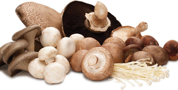 7 món chống ung thư hàng đầu nên có trên bàn ăn