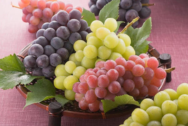 7 món chống ung thư hàng đầu nên có trên bàn ăn