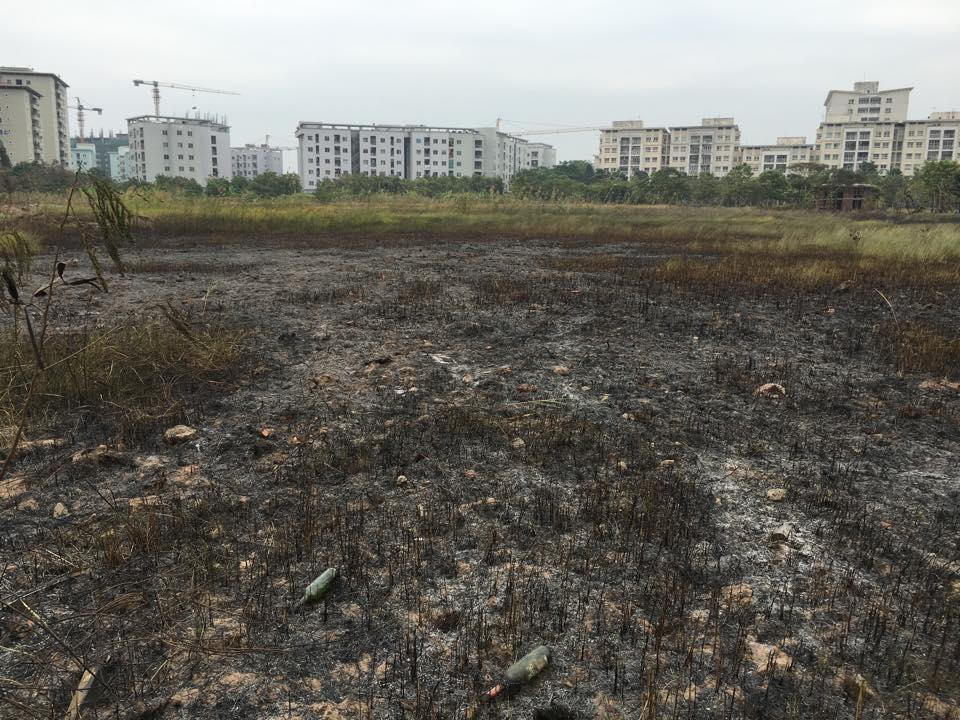 Dùng 'chiêu độc' tỏ tình với bạn gái gây cháy lớn ở Hà Nội?