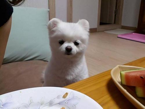 Khám phá không gian riêng tư của Hari Won trước khi theo Trấn Thành 'về dinh'