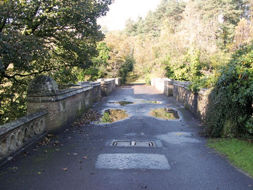 Cây cầu chó đi qua đều nhảy xuống tự tử ở Scotland