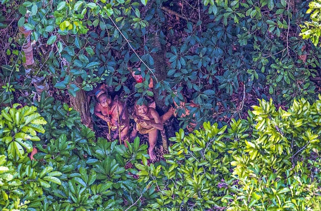 Thú vị cảnh sống nguyên thủy của bộ lạc mới phát hiện trong rừng Amazon 