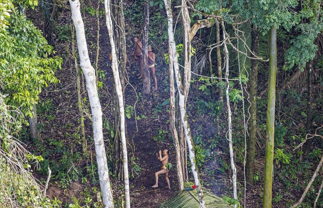 Thú vị cảnh sống nguyên thủy của bộ lạc mới phát hiện trong rừng Amazon 