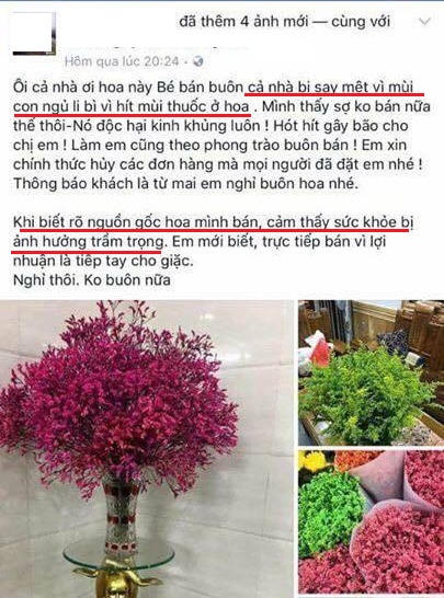 Ẩn họa khôn lường khi trưng hoa sao khô dịp Tết