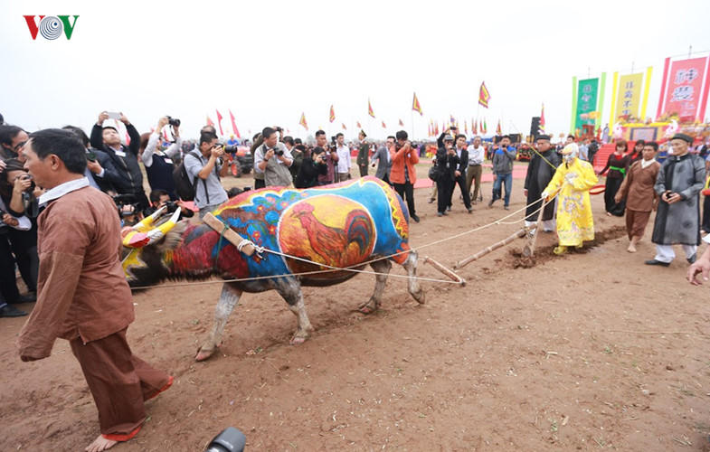 Xúc động cảnh Chủ tịch nước lái máy cày khai mở mùa mới ở Hà Nam