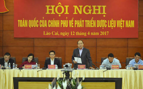 Thủ tướng yêu cầu các Bộ chung tay 'vực dậy' ngành dược liệu