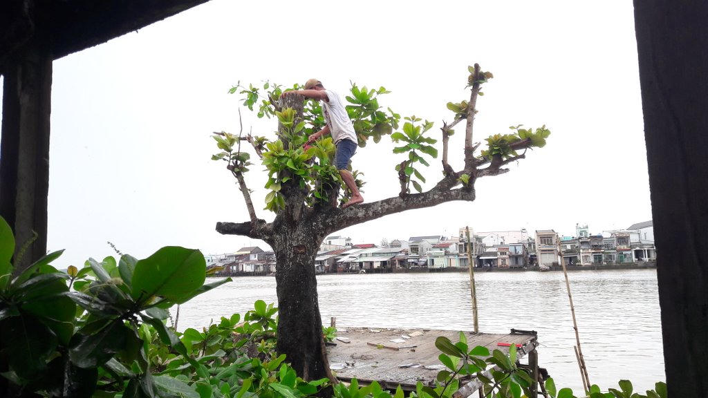 Sáng di dời khẩn cấp người dân, chiều đất sụp xuống sông