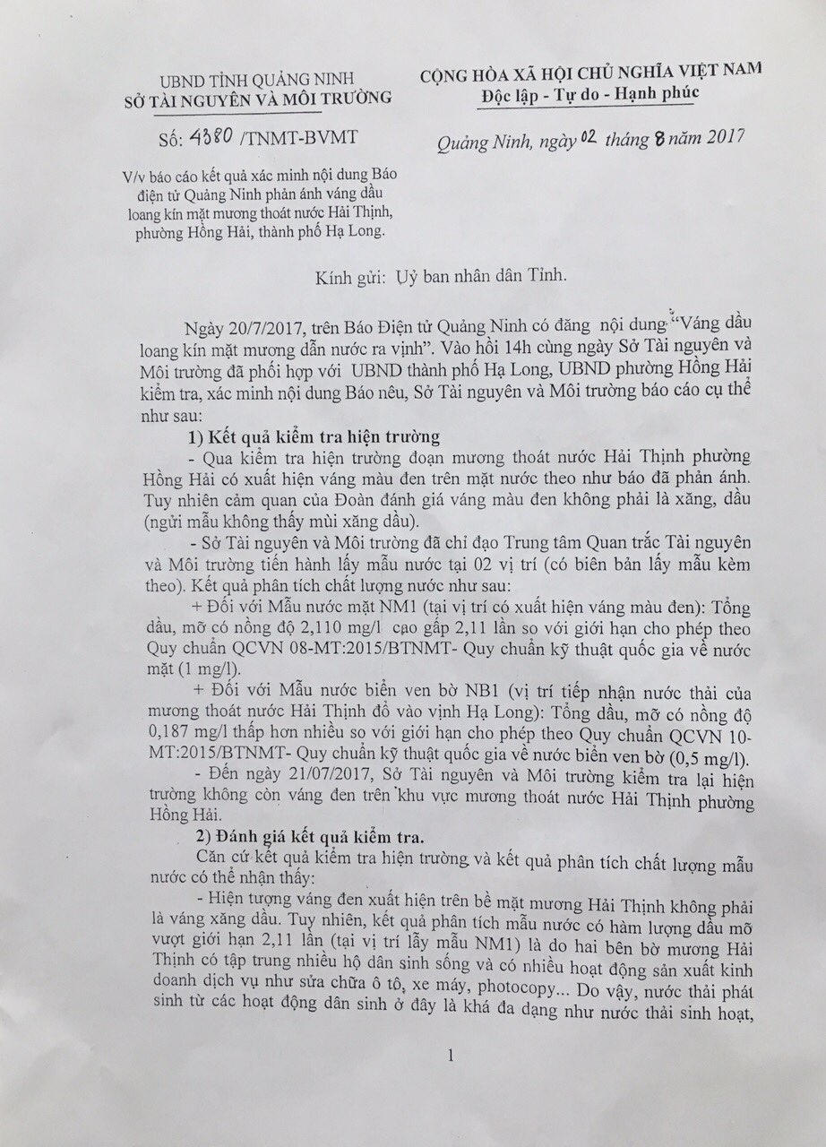 'Váng nước màu không gây bất kỳ sự cố môi trường nào với Hạ Long'