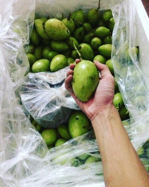 Bán cả tạ xoài cóc một ngày chỉ nhờ “nước chấm thần thánh”