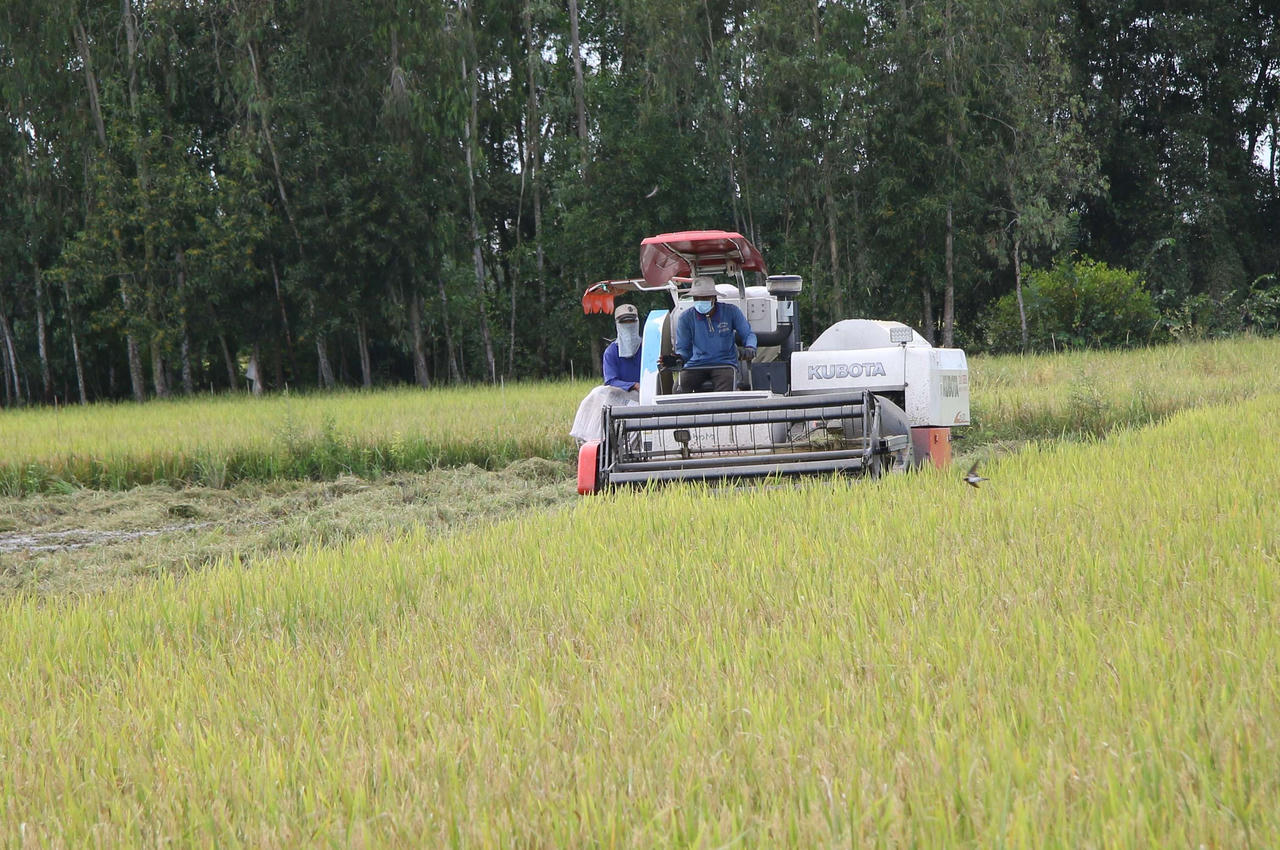 Sắp diễn ra 'Hội nghị Diên Hồng' về đất Chín Rồng