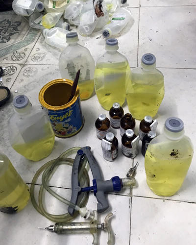 17-can-bo-phai-giai-trinh-vi-4000-con-heo-bi-tiem-thuoc-an-than