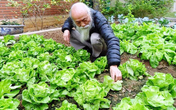 Xúc động hình ảnh dung dị về thầy Văn Như Cương