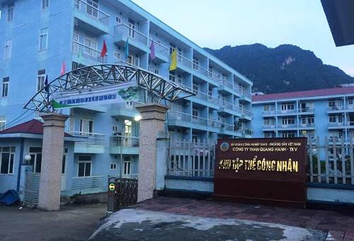 hang-nghin-tho-mo-bo-nghe-an-com-duong-gian-lam-viec-am-phu-1