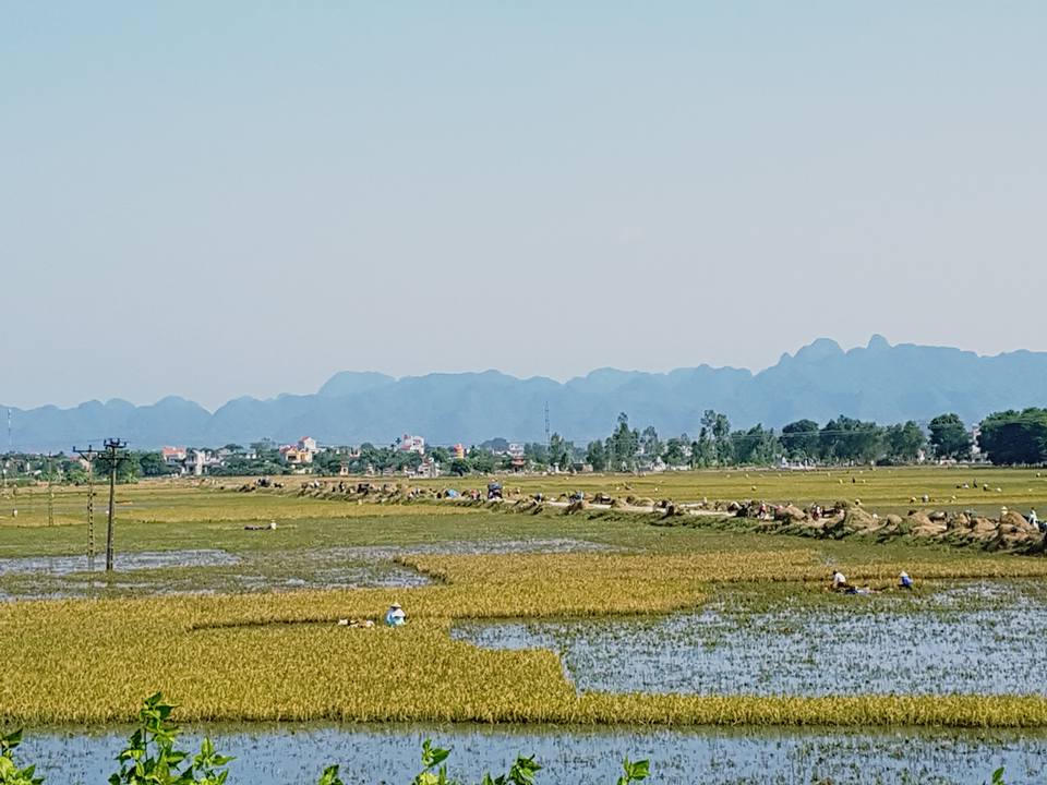 Yêu cầu sớm đưa người dân Ninh Bình trở lại cuộc sống bình thường