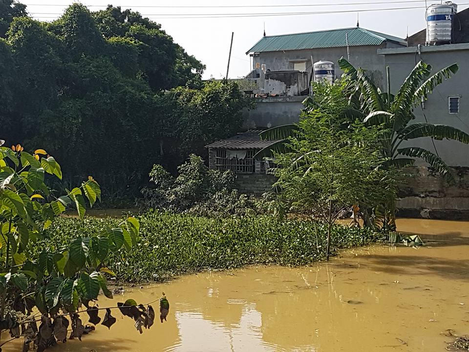 Yêu cầu sớm đưa người dân Ninh Bình trở lại cuộc sống bình thường