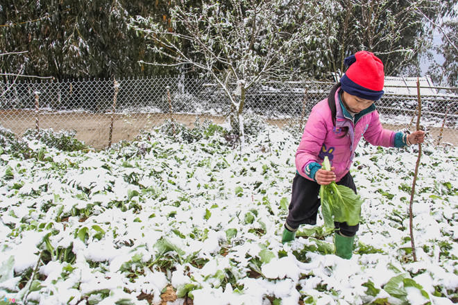 Trẻ từ 2 đến 6 tuổi cần tăng bao nhiêu kg?