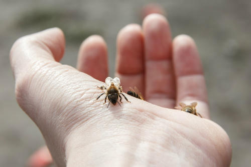 5-thu-khong-ngo-co-the-khien-ban-tu-vong-1