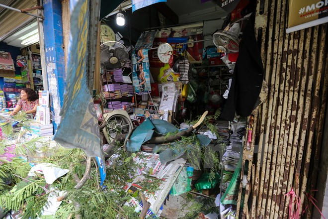 Hoảng hồn vì cây xanh bất ngờ đổ giữa đường Hà Nội