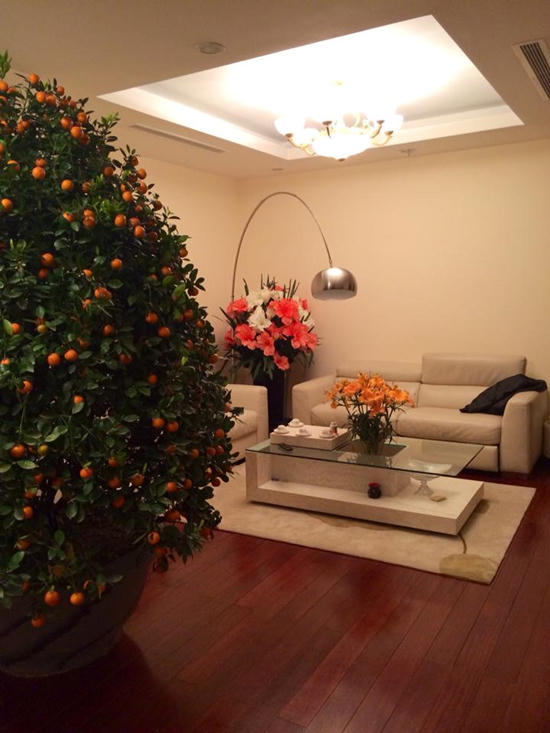 Tuấn Hưng,làng sao