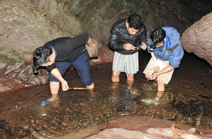 Săn tôm bằng súng cao su lúc nửa đêm