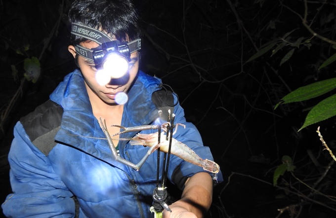 Săn tôm bằng súng cao su lúc nửa đêm