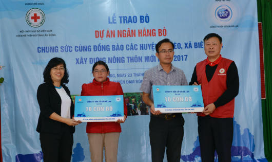 Cô gái Hà Lan trao tặng 80 con bò cho nông dân nghèo tỉnh Lâm Đồng