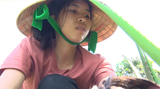 Thách thức danh hài,Trấn Thành,Trường Giang