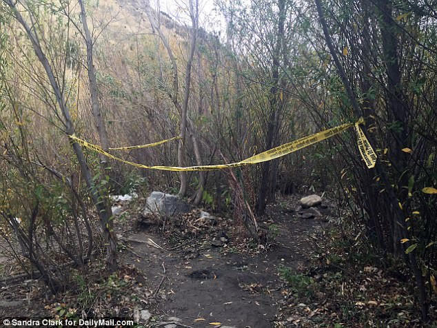 Tai tu 'Glee' treo co tren cay tu sat sau be boi luu phim au dam hinh anh 1