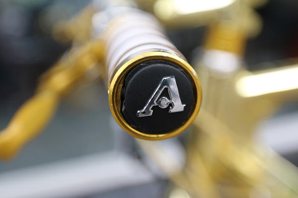 loa mat truoc chiec xe dap dat vang dung "hung ho" tren via he ha noi hinh anh 8