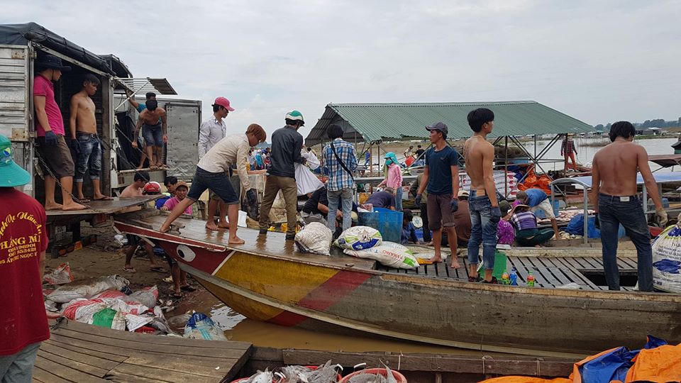 Hàng tấn cá trên sông La Ngà chết bất thường