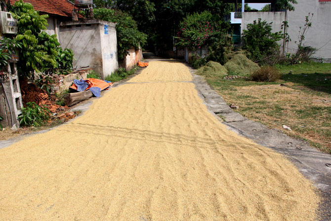 Tai nạn giao thông tiềm ẩn ngày mùa