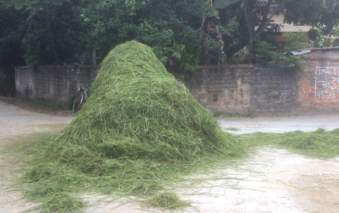 Tai nạn giao thông tiềm ẩn ngày mùa