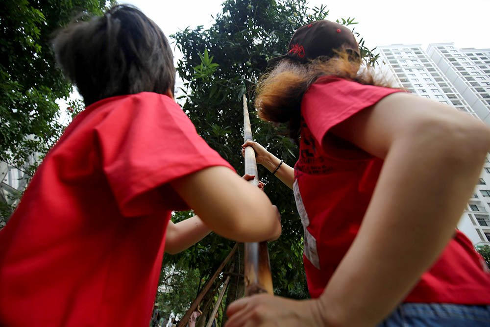 hoa quả Việt,đặc sản Việt,xoài,Hà Nội