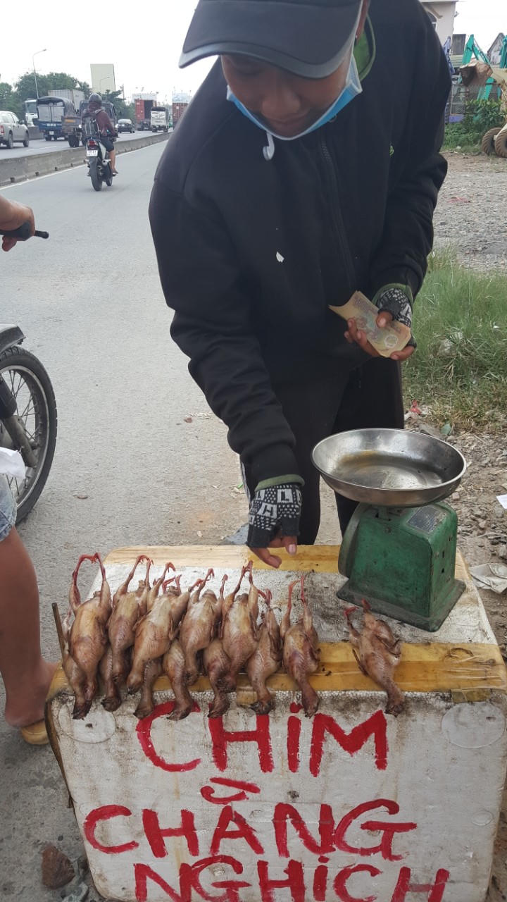 Nguy cơ lây bệnh từ thịt chim lề đường ở Đồng Nai