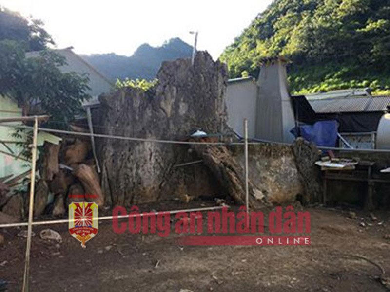 {title} Hình ảnh bên trong 'sào huyệt' của trùm ma túy Sơn La