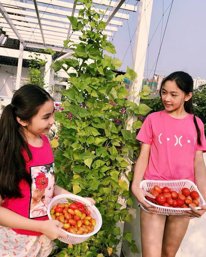 con gai mc quyen linh ra dang thieu nu xinh dep, duoc goi la hoa hau tuong lai hinh anh 7