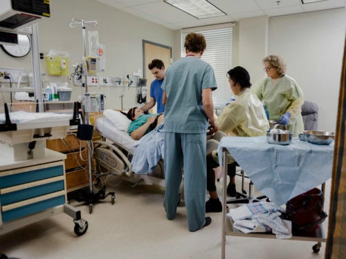 Ảnh: Tyler Olson/Shutterstock.