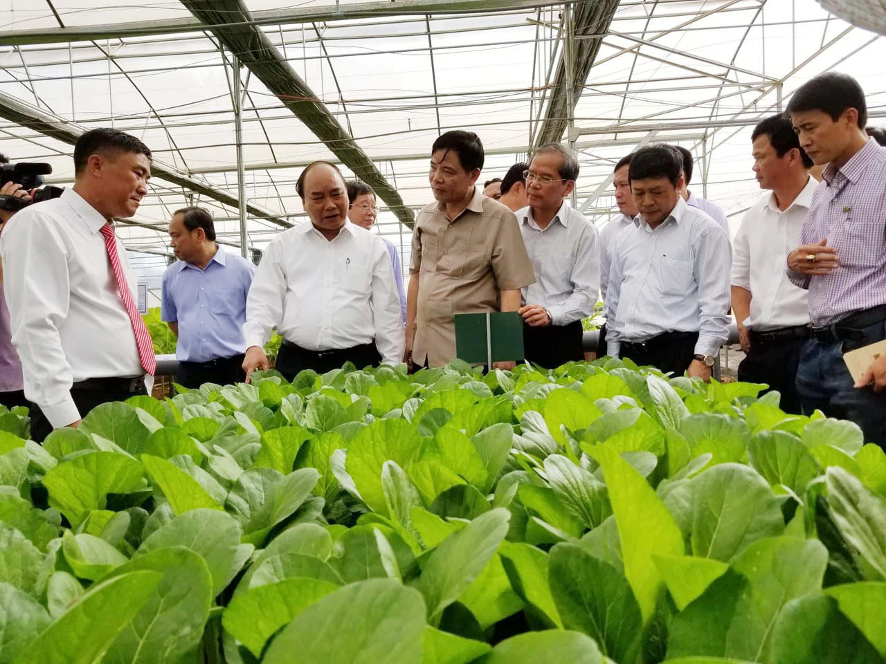 Thủ tướng kêu gọi doanh nhân Việt 'bắt tay' đưa nông sản ra thị trường quốc tế