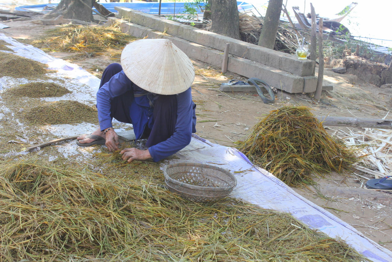 Lũ về sớm hơn dự báo, nông dân ĐBSCL thấp thỏm lo